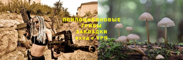 герыч Новозыбков