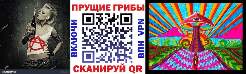 цена   Опочка  KRAKEN зеркало  Галлюциногенные грибы Psilocybe 